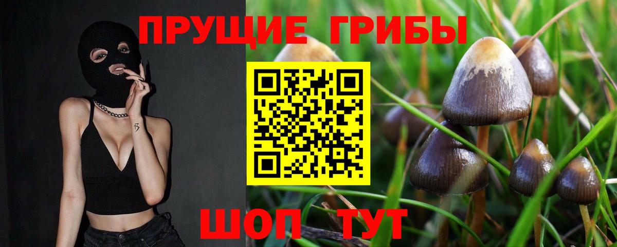 Псилоцибиновые грибы GOLDEN TEACHER  Вход с VPN  Уссурийск  Псилоцибиновые грибы мухоморы 