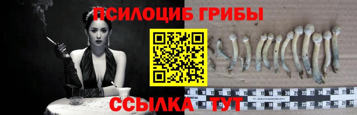 Галлюциногенные грибы GOLDEN TEACHER Уссурийск